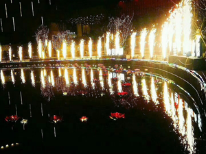 专业舞台效果婚礼派对冷火花机DMX512火花喷泉机烟火机 - Product Image 6