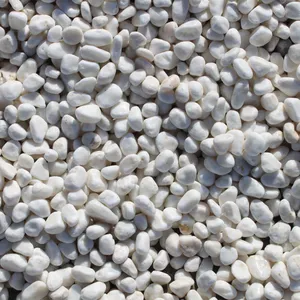 Natural White River Rock Pebbles Landscape Large Stones for Indoor Plants Fish Tank Vase Fillers Aquarium Gravels Pathway