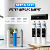 Système de purification d'eau RO sans réservoir sous l'évier, filtration d'eau, filtre à changement rapide pour la cuisine