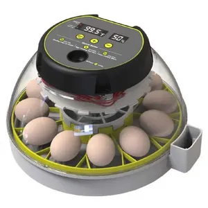 New product custom 12 eggs incubator humidity display auto turner chicken incubator
