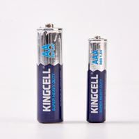 Pile au carbone-zinc AAA R03 1,5 V haute performance au chlorure de zinc pour télécommande, horloge, lampe de poche, calculatrice, jouet