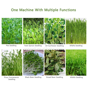 Tự động đậu xanh cỏ đậu phộng Điện Thủy canh thức ăn gia súc màu xanh lá cây hạt giống nhà sản xuất nảy mầm phát triển máy - Product Image 4