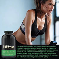 WELLBODY OEM/ODM Marque Privée Halal Naturel Capsules de Créatine Monohydrate Micronisée Naturelle Stimulant Énergétique pour Adultes Alimentaire