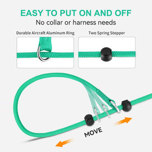 Correa de Entrenamiento de Nailon Ajustable Reflectante y Antienredos Personalizada al por Mayor, Correa de Perro Acolchada 2 en 1 - Product Image 3