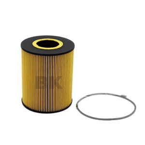 ชิ้นส่วนตัวกรองน้ำมันตัวกรอง BK E13HD47 SH449 51055040098 HU1381X สำหรับรถบรรทุก Mercedes-Benz NG SK - Product Image 5