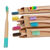 Ensemble de brosses à dents en bambou naturel poils souples charbon de bois blanchiment des dents soins bucco-dentaires aide dentaire usage domestique