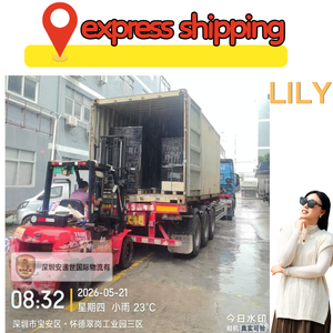 Logistique aérienne et express à faible coût pour l'Asie du Sud-Est – Canal spécial pour batteries, liquides, poudres, produits de santé – Service d'assurance DDP - Product Image 3