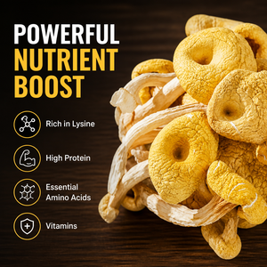 Chanterelles sauvages séchées de qualité supérieure, en vrac, naturelles et déshydratées, pour la cuisine gastronomique et l'approvisionnement alimentaire - Product Image 2