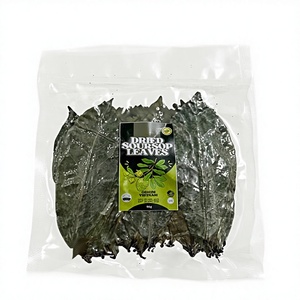Hojas de guanábana 100% naturales de Vietnam, hojas de guanábana secas para té, venta al por mayor, hojas de guanábana secas de alta calidad en bolsa al vacío - Product Image 1