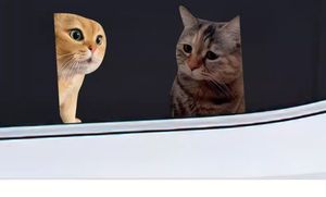 Creative Personaliti Cute Funny Meme Cat Notebook Equipaje Coche Pegatinas Reutilizable PVC 1 año de garantía Expresión sorprendida - Product Image 6