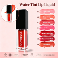 Gloss à lèvres teinté longue tenue, effet mat, anti-transfert, waterproof, maquillage liquide, best-seller, beauté personnalisée