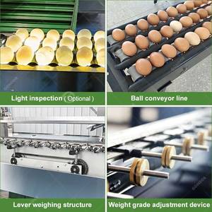 Chicken Size Small Automatic Grader Sorter Sorting Weighing Sort <b>Egg</b> Grading <b>Machine</b> for Sale of Price - Product Image 6