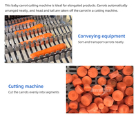 Automatische babywortelen productielijn, babywortelen wortelsnijder, fruit- en groenteverwerkingsmachine
