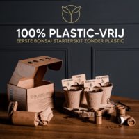 Kit pemula Bonsai yang dapat disesuaikan grosir dengan instruksi rinci untuk Set pohon Bonsai tanaman Taman dan Rumah