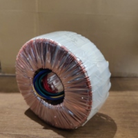 Entrée en cuivre pur 482VA Sortie 220V 10V 18V-0-18V 40V-0-40V Transformateur toroïdal de puissance pour les haut-parleurs audio
