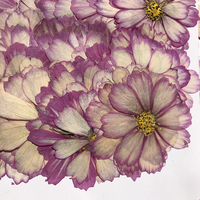 Ciondolo in resina con fiori pressati di Cosmos, vero fiore essiccato di Cosmos per sigillo in ceralacca, cornice nuziale, decorazione floreale