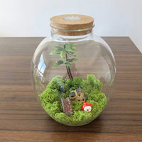 Vase en verre transparent, terrarium, pot de plantation avec couvercle en liège en bois et lumière LED pour plantes vertes, plantation, aquarium