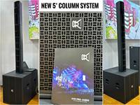 Système de haut-parleurs colonne actifs à ligne directe CVR PRO AUDIO T-504&T-18SP avec woofer néodyme de 18 pouces, étanche et portable, Bluetooth