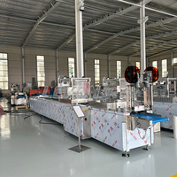 Mesin Pengemasan Thermoforming untuk Makanan, Stretch Film & Pembungkus untuk Fillet Ikan Segar dan Hasil Laut