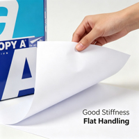 Papier copie Premium A4 70g/m², 75g/m², 80g/m², surface lisse, blanc, 100% pâte de bois vierge, Shandong Chine, écologique