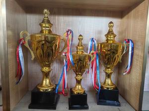 Trofeo de alta calidad de fábrica, taza de Metal personalizada, recuerdo de plástico Chapado en HD, arte popular, trofeo de <span class=keywords><strong>coche</strong></span> deportivo de cristal para carrera de coches, 2 colores - Product Image 6