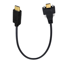 Kabel Data pengisi daya berlapis emas, kabel Data pengisian daya dengan sekrup 10G 5A USB 3.1 tipe-c Male ke USB-C Male