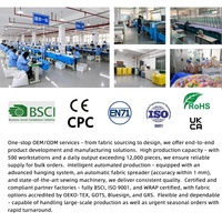 Créez votre propre peluche lion personnalisée, faible MOQ, échantillon rapide, mascotte d'entreprise professionnelle sur mesure