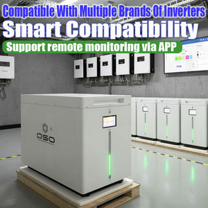 QSO 4nrgy 32kWh 2 Energiespeicher 30kWh All-in-One 60kWh Hektary Offgrid Polen DDP 30KW Energiespeicher 48V LiFePO4 Batterie-Pack - Product Image 3