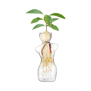 Newtay elegante jarrón <span class=keywords><strong>de</strong></span> cristal con silueta femenina para propagación <span class=keywords><strong>de</strong></span> <span class=keywords><strong>aguacate</strong></span> decoración del hogar bombillas esquejes <span class=keywords><strong>de</strong></span> plantas macetas para - Product Image 1