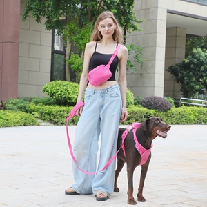 Harnais de luxe en velours côtelé anti-traction pour chien, collier et laisse personnalisés de créateur, sac à dos mignon pour promenades, laisse et harnais pour chien - Product Image 6