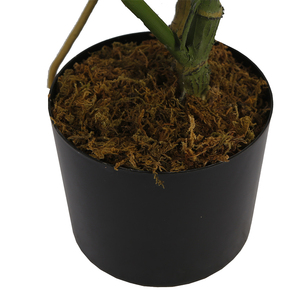 4ft Faux <span class=keywords><strong>Albo</strong></span> Monstera <span class=keywords><strong>Plante</strong></span> Artificielle Monstera <span class=keywords><strong>Plante</strong></span> avec Feuilles Réalistes en Pot pour Intérieur Maison Bureau Jardin Décor - Product Image 6