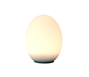ไฟกลางคืนซิลิโคนรูปไข่น่ารักสำหรับเด็ก รุ่นใหม่ - Product Image 1
