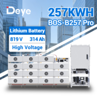 Système de stockage d'énergie Deye BOS-B Pro 160 kWh 257 kWh C&I, module de batterie LiFePO4 haute tension monté sur rack 51,2 V 314 Ah