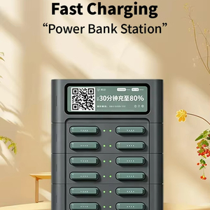 Batterie de charge rapide pour smartphones, 12 emplacements, spécialement conçue pour l'Afrique, personnalisable - Product Image 1