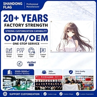 Drapeau personnalisé de 3x5 pieds avec personnage d'anime, bannière publicitaire rectangulaire en polyester non tissé, impression numérique pour affichage extérieur