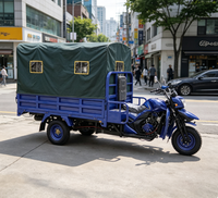 Tricycles personnalisables de diverses couleurs, styles classiques, tricycles décontractés, tricycles cargo à essence pour adultes et motos