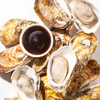The World's Best-selling oyster Sauce Brand | Haday Seafood Condiment for Cooking | Best-selling Sauce in the Asian Market