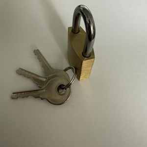 ठोस पीतल कीड पैडलॉक के लिए 25 मिमी चौड़ी लॉक बॉडी के साथ विभिन्न ताले कलियां - Product Image 4