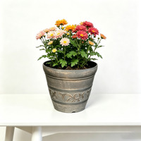 Pot de fleurs rond en plastique de 25 cm, élégant, pour une utilisation en intérieur et en extérieur