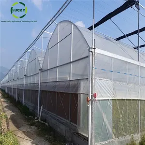 50x100 m tùy chỉnh chất lượng cao răng cưa đa-span phim nhựa nhà kính cho rau