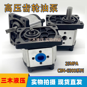 Pompe à engrenages hydraulique 25Mpa à arbre à clavette plate 1 étage CBN G304 G310 G314 G316 - Product Image 5