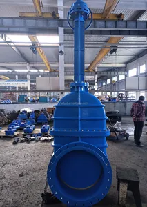 Anhui Factory 12 Inch Gas Water Oil Cast Iron Soft Seal Flange Ductile Iron Extension Spindle Gate Valve
