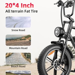 Commuting Special Mountain <b>Bike</b> <b>Fat</b>/Wide Tire 500W Rear Hub Motor 48V Dual Disc 15Ah Lithium ZDD0315 <b>Fat</b> Tire Design Offers Supe - Product Image 2