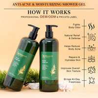 Gel de Ducha y Champú Blanqueador de Marca Privada OEM, Set para el Cuidado del Cabello para Mujeres, con Árbol de Té Orgánico, Anti-Picazón, para Piel Normal, 500 ml