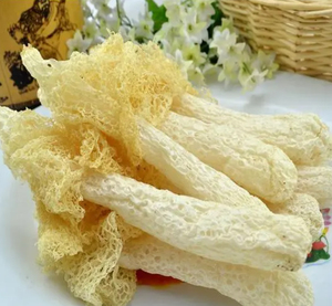 Harga grosir ekstrak Phallus inderatus bedak ekstrak Natural Phallus inderatus - Product Image 5