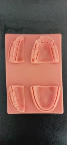 Modello di sutura medica in gomma orale per la pratica didattica modello di assistenza al Trauma per la pratica degli studenti di medicina - Product Image 2