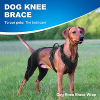 Attelle de genou pour chien avec harnais de laisse de sécurité pour les blessures à la jambe arrière ACL déchiré Douleur articulaire Anti-léchage Manchon de soutien pour jambe d'animal de compagnie Genouillère