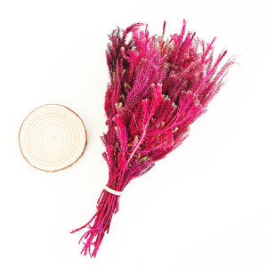 Bunga Dekorasi Alami Musim Panas Bunga Hias Klub Tumbuhan Diawetkan untuk Ornamen Natal - Product Image 6