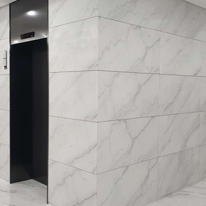 Piedra TMZ de mármol blanco Guangxi moderna de alta calidad ODM/OEM para baño de hotel y sala de estar Interior pulido - Product Image 6