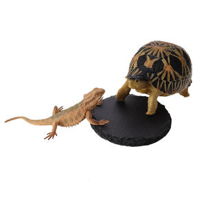 Panneaux <span class=keywords><strong>de</strong></span> roche pour la décoration d'enclos pour animaux <span class=keywords><strong>de</strong></span> compagnie, bassin d'alimentation à griffes <span class=keywords><strong>de</strong></span> <span class=keywords><strong>tortue</strong></span> terrestre, coussin <span class=keywords><strong>de</strong></span> refroidissement pour reptiles, plate-forme <span class=keywords><strong>de</strong></span> soleil pour <span class=keywords><strong>tortue</strong></span> - Product Image 3